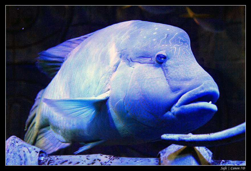 2012 - 06 - Dubai - 019